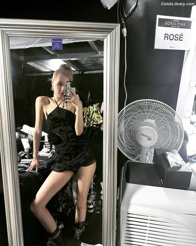 Rosé (BLACKPINK) photo 8 of 4338
