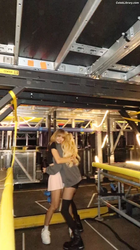 Rosé (BLACKPINK) photo 22 of 4338