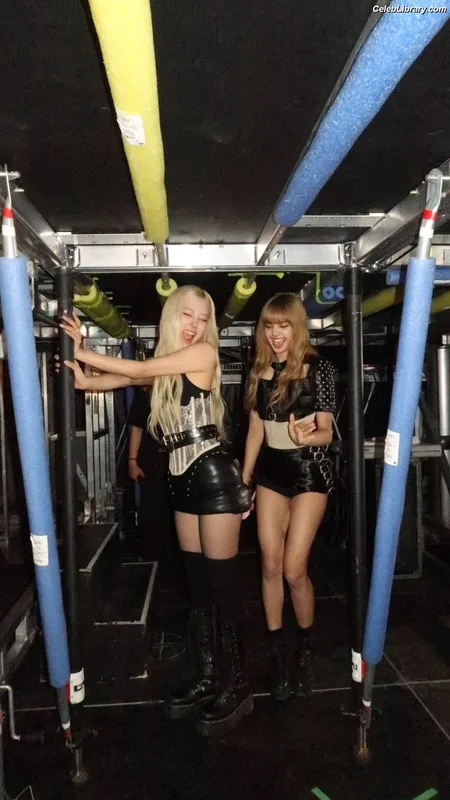 Rosé (BLACKPINK) photo 19 of 4338