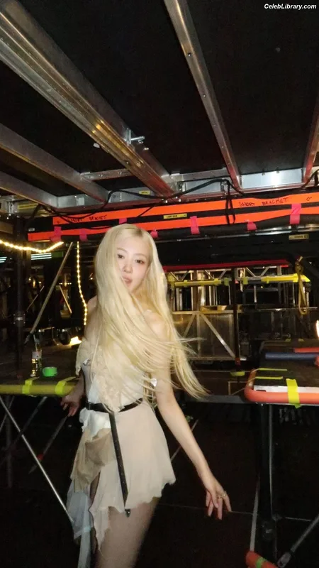 Rosé (BLACKPINK) photo 8 of 4338
