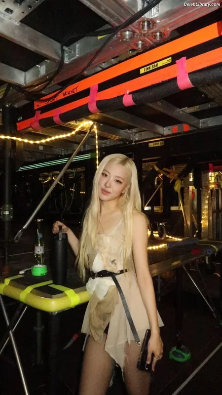 Rosé (BLACKPINK) photo 9 of 4338