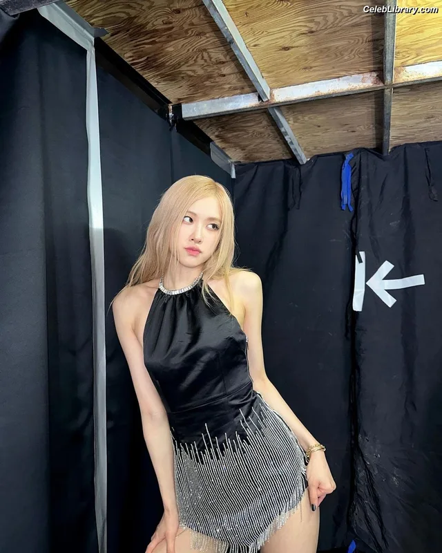 Rosé (BLACKPINK) photo 9 of 4338