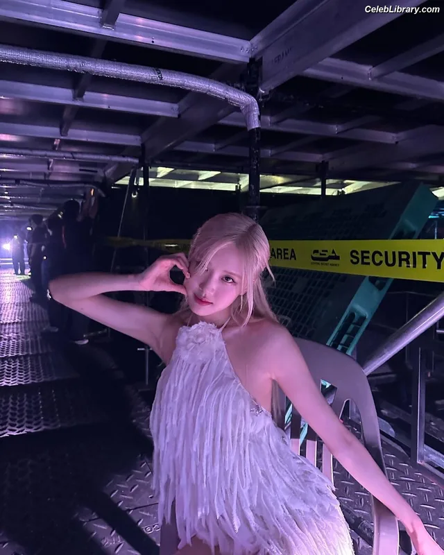 Rosé (BLACKPINK) photo 22 of 4338