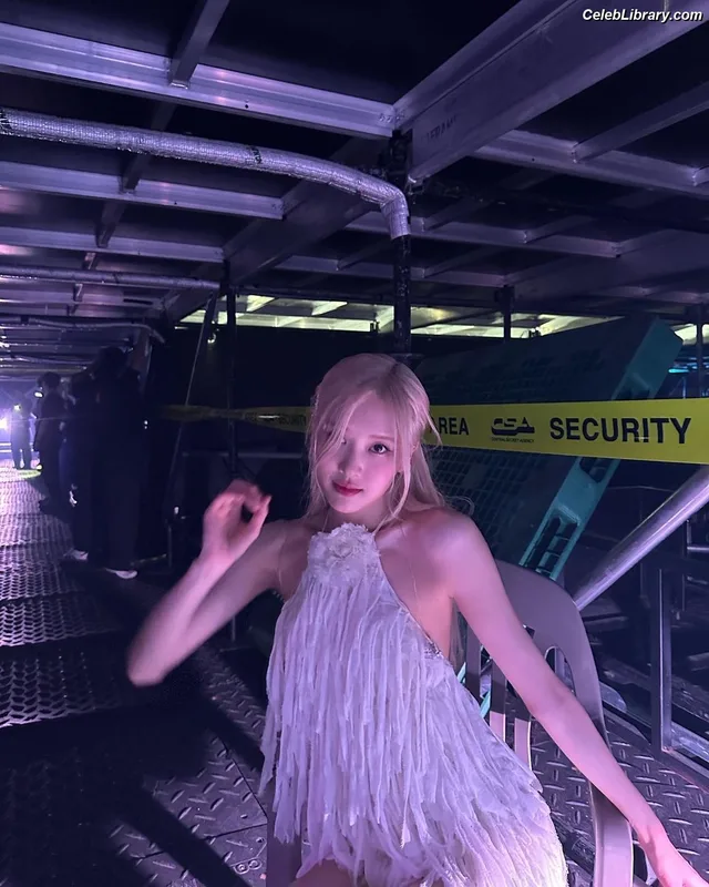Rosé (BLACKPINK) photo 23 of 4338