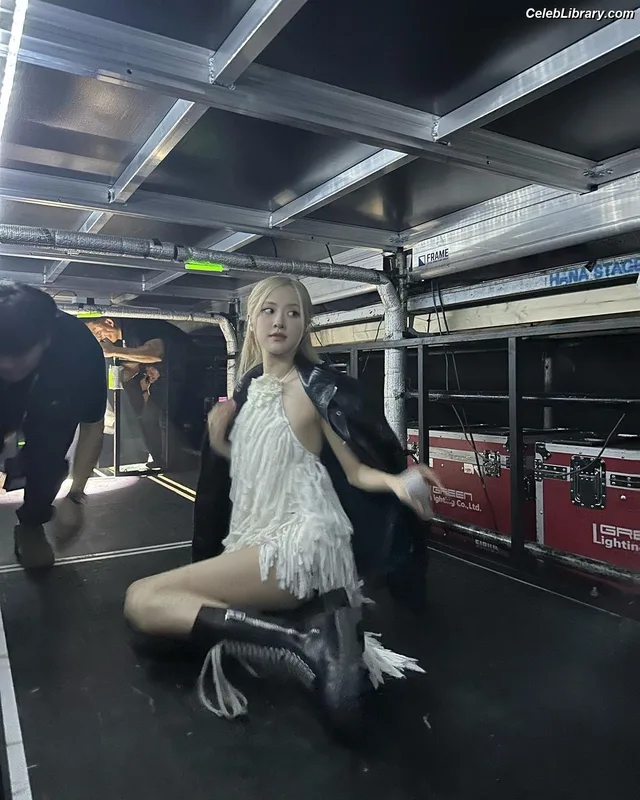 Rosé (BLACKPINK) photo 2 of 4338