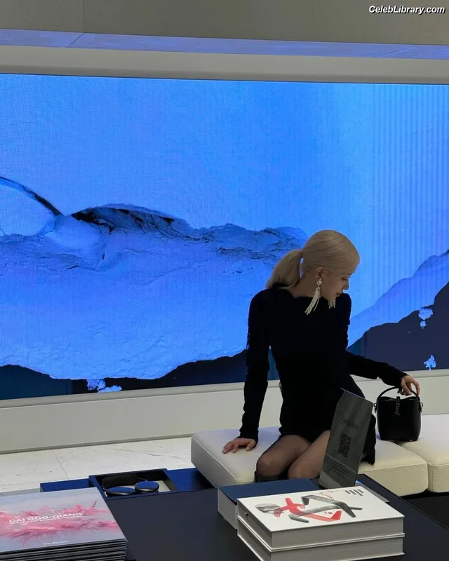Rosé (BLACKPINK) photo 9 of 4338