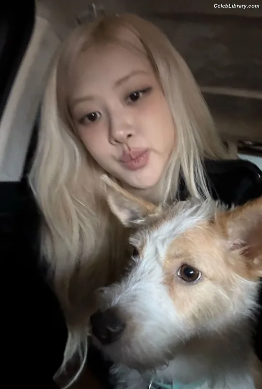Rosé (BLACKPINK) photo 7 of 4338