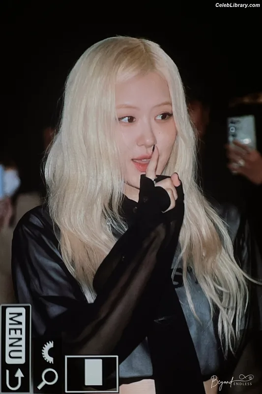 Rosé (BLACKPINK) photo 13 of 4338
