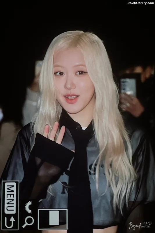 Rosé (BLACKPINK) photo 14 of 4338