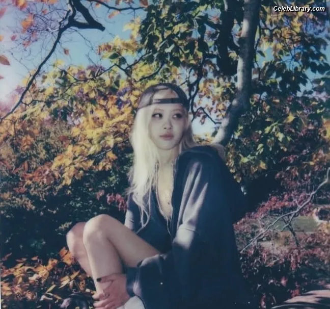 Rosé (BLACKPINK) photo 12 of 4338
