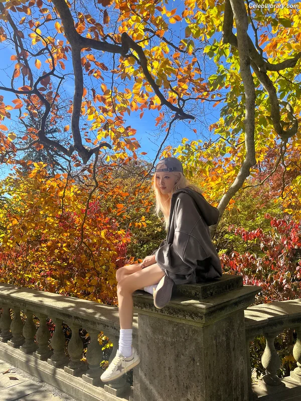 Rosé (BLACKPINK) photo 22 of 4338