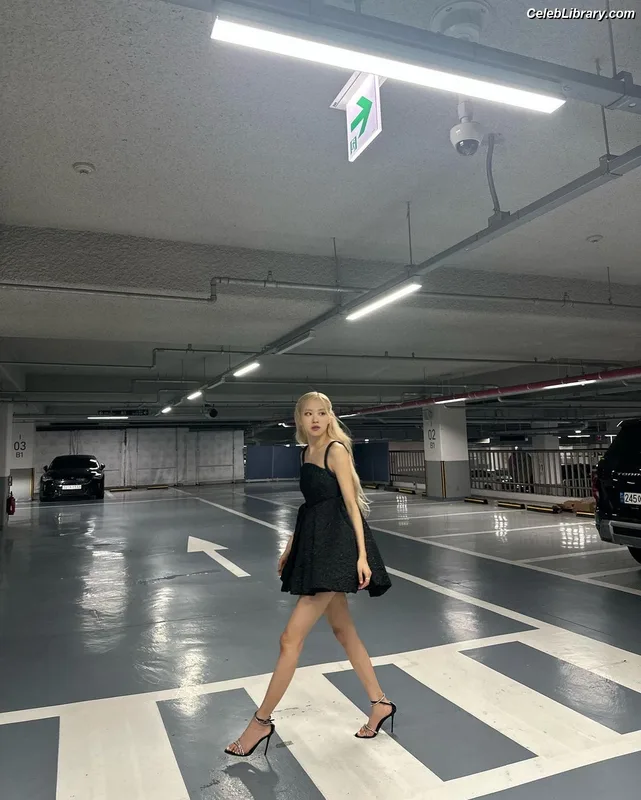 Rosé (BLACKPINK) photo 18 of 4338