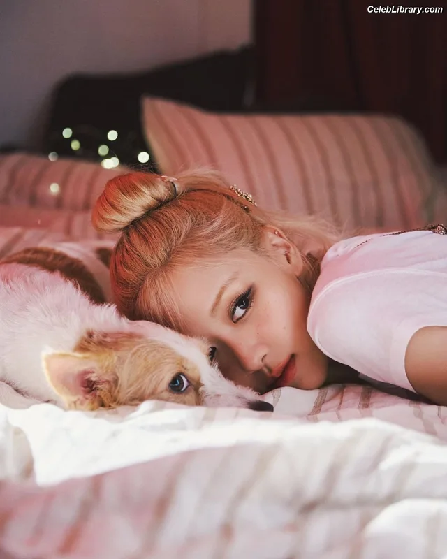Rosé (BLACKPINK) photo 8 of 4338