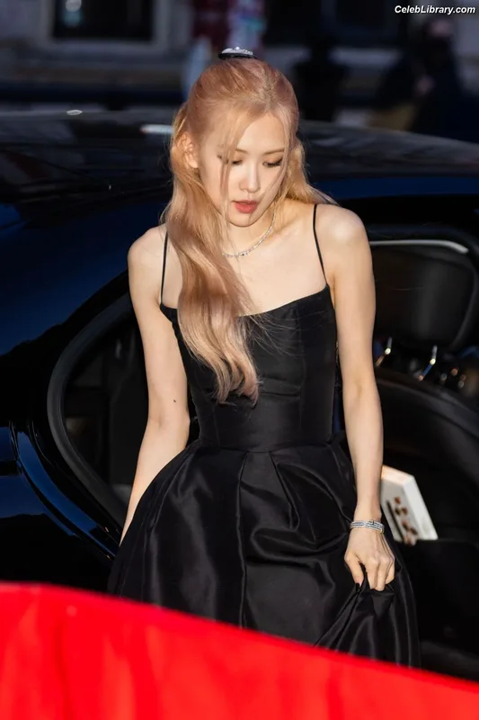 Rosé (BLACKPINK) photo 22 of 4338