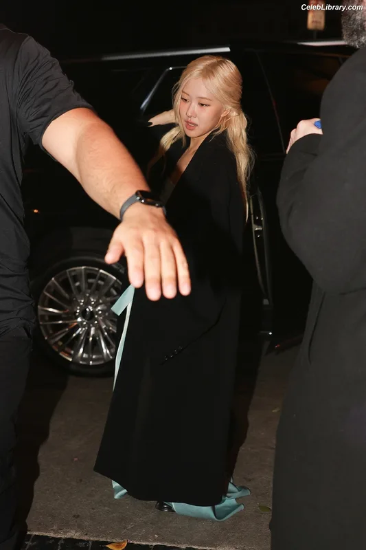 Rosé (BLACKPINK) photo 23 of 4338