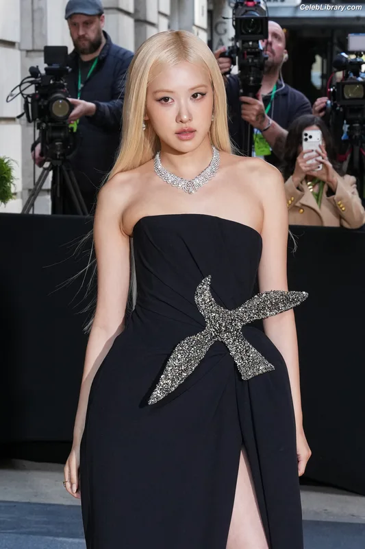 Rosé (BLACKPINK) photo 2 of 4338