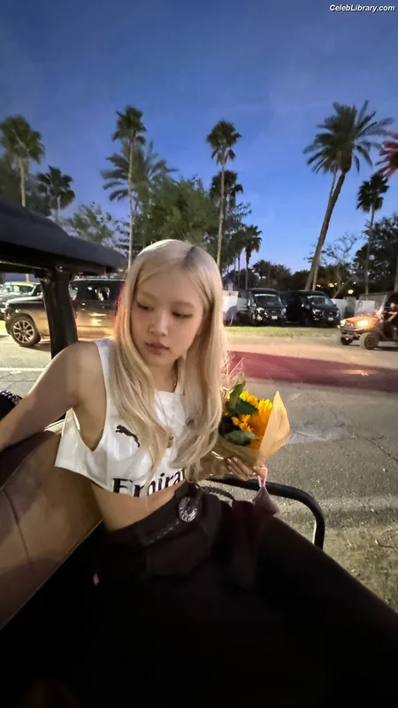 Rosé (BLACKPINK) photo 24 of 4338