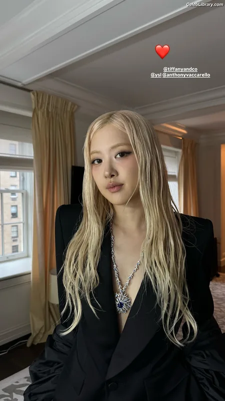 Rosé (BLACKPINK) photo 21 of 4338