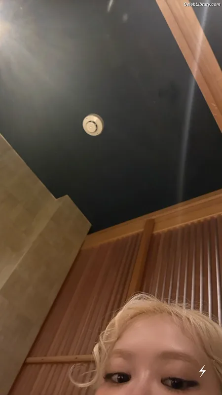 Rosé (BLACKPINK) photo 22 of 4338