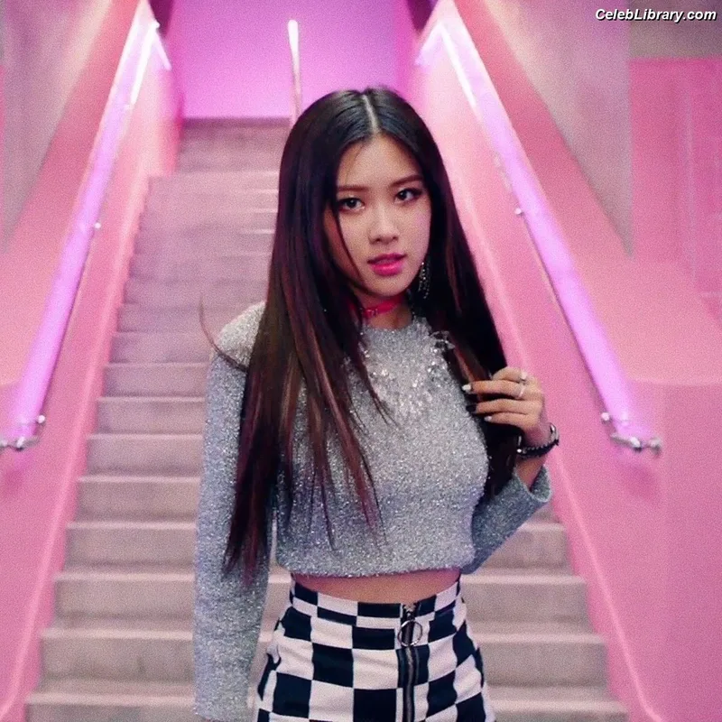 Rosé (BLACKPINK) photo 13 of 4338
