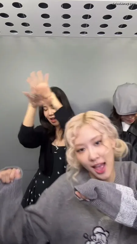 Rosé (BLACKPINK) photo 4 of 4338