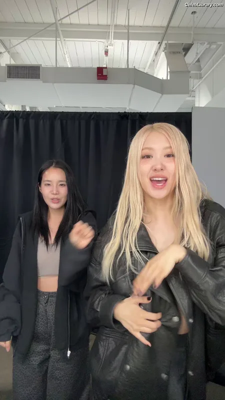 Rosé (BLACKPINK) photo 24 of 4338