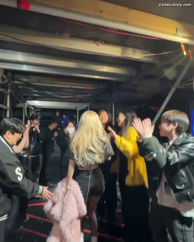 Rosé (BLACKPINK) photo 19 of 4338