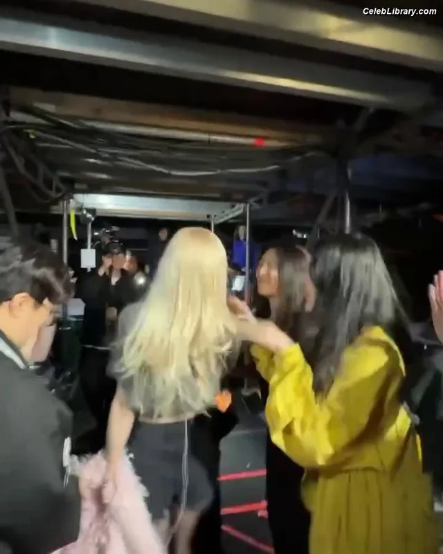 Rosé (BLACKPINK) photo 21 of 4338