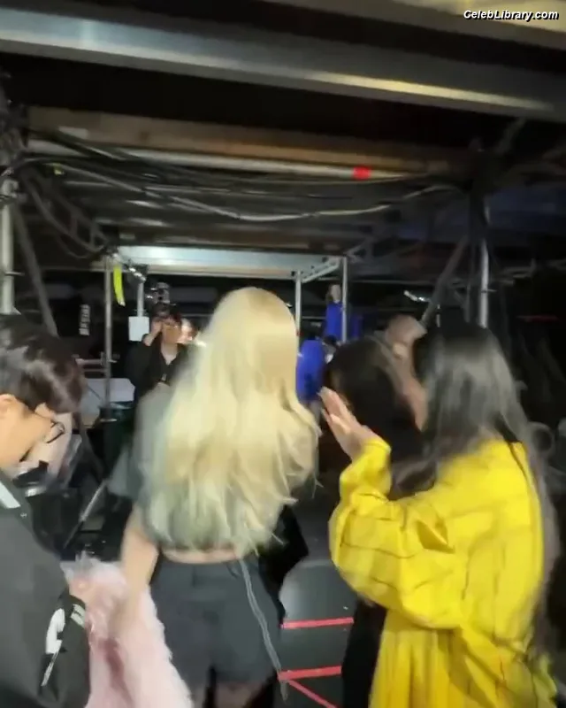 Rosé (BLACKPINK) photo 20 of 4338