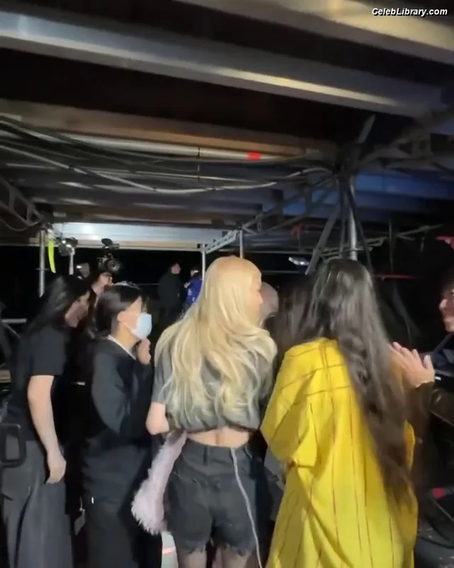 Rosé (BLACKPINK) photo 23 of 4338