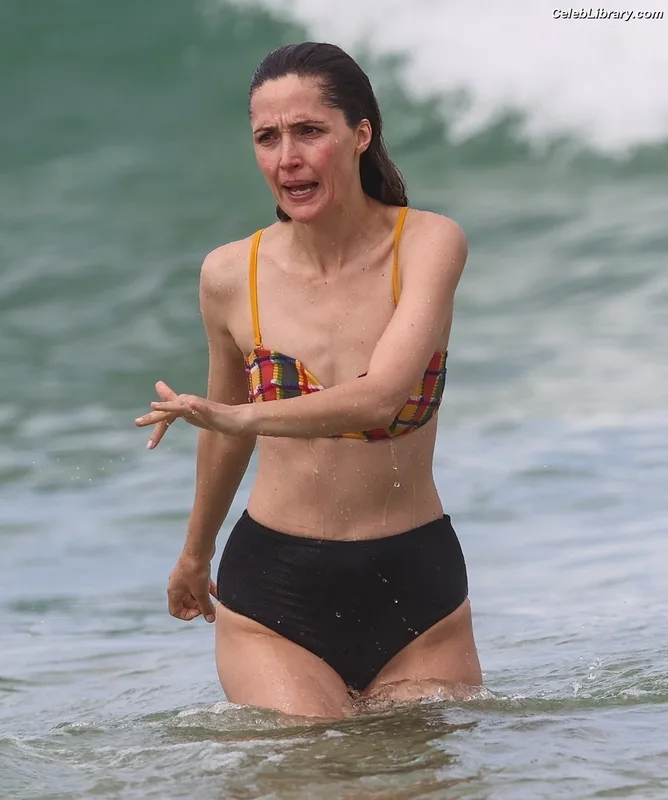 Rose Byrne photo 17 of 435