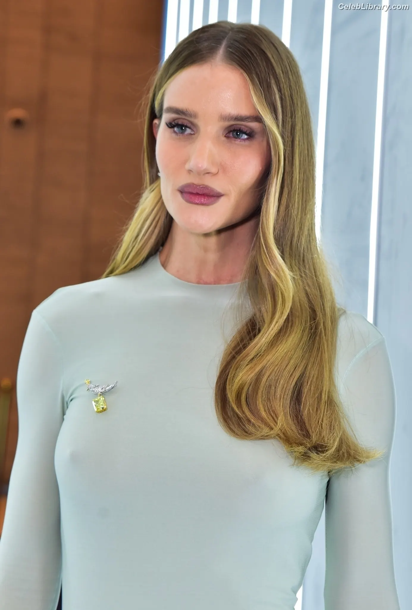 Rosie Huntington-Whiteley photo 5 of 847