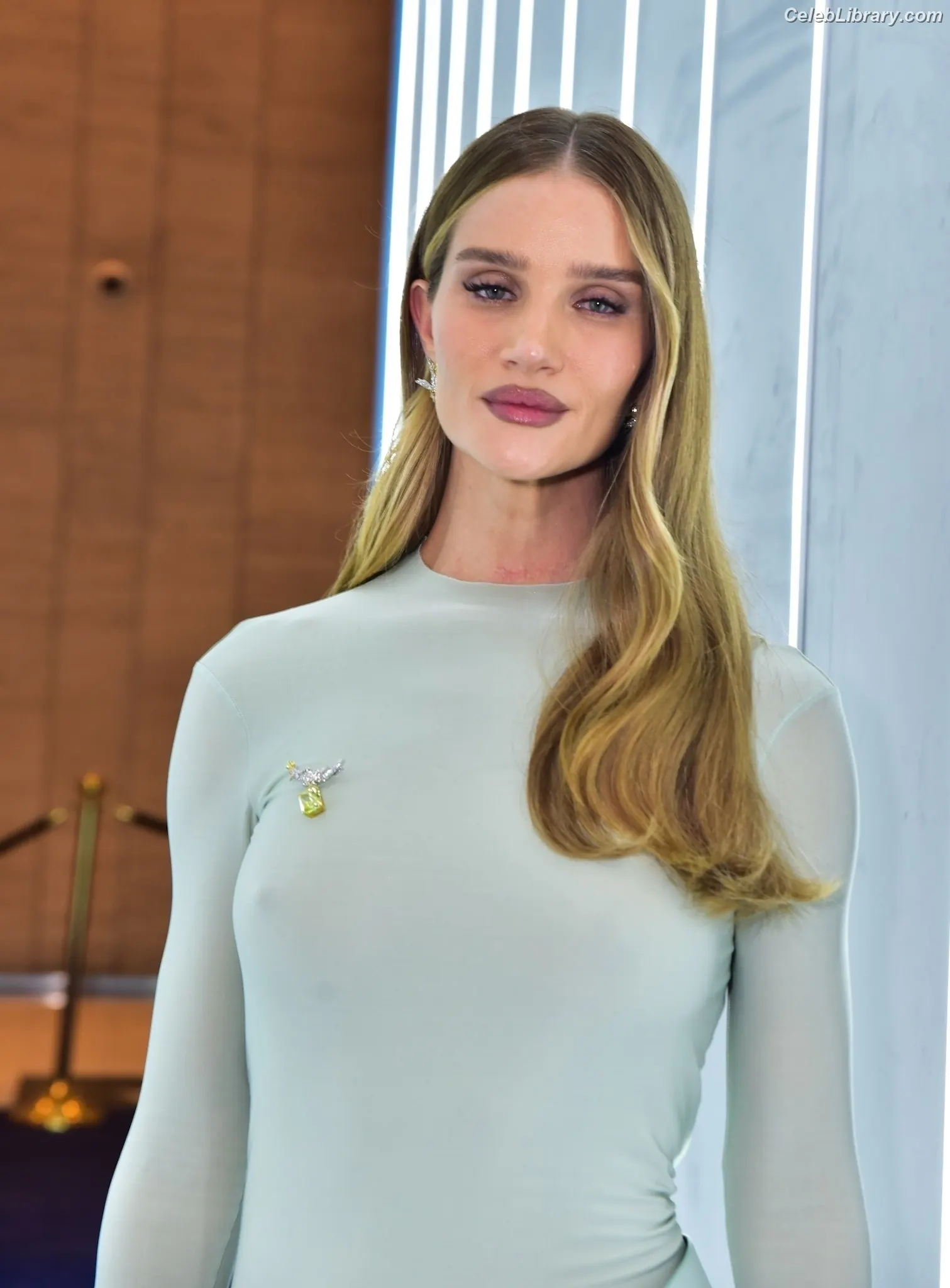 Rosie Huntington-Whiteley photo 10 of 847
