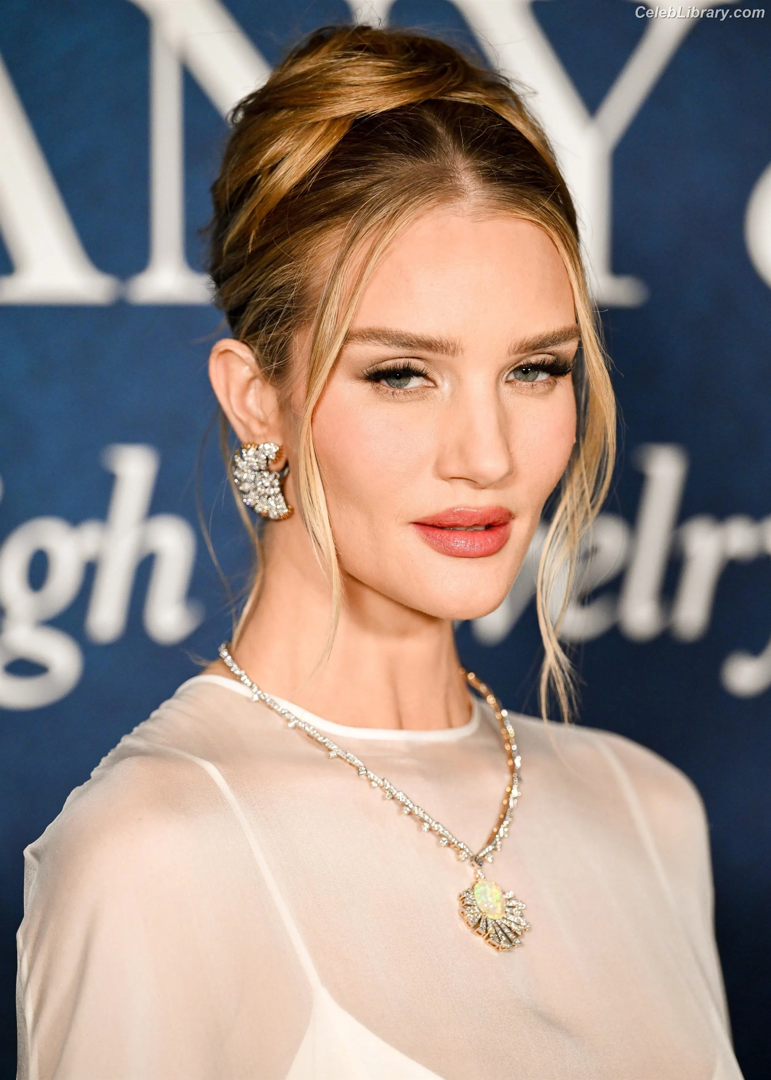 Rosie Huntington-Whiteley photo 2 of 847