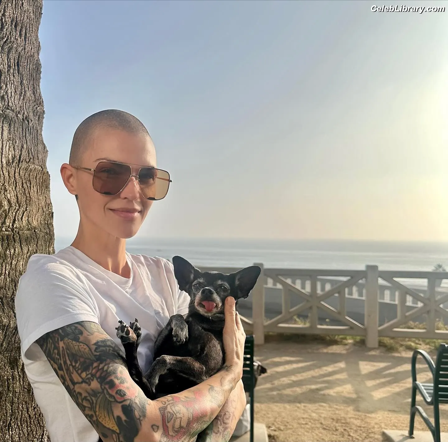 Ruby Rose photo 20 of 45