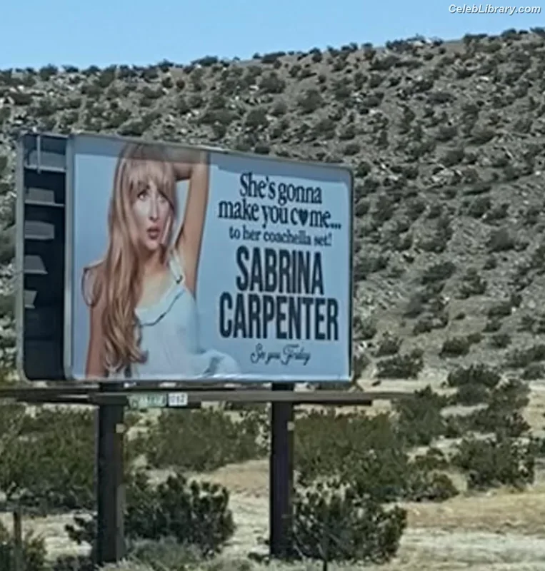 Sabrina Carpenter photo 13 of 6403