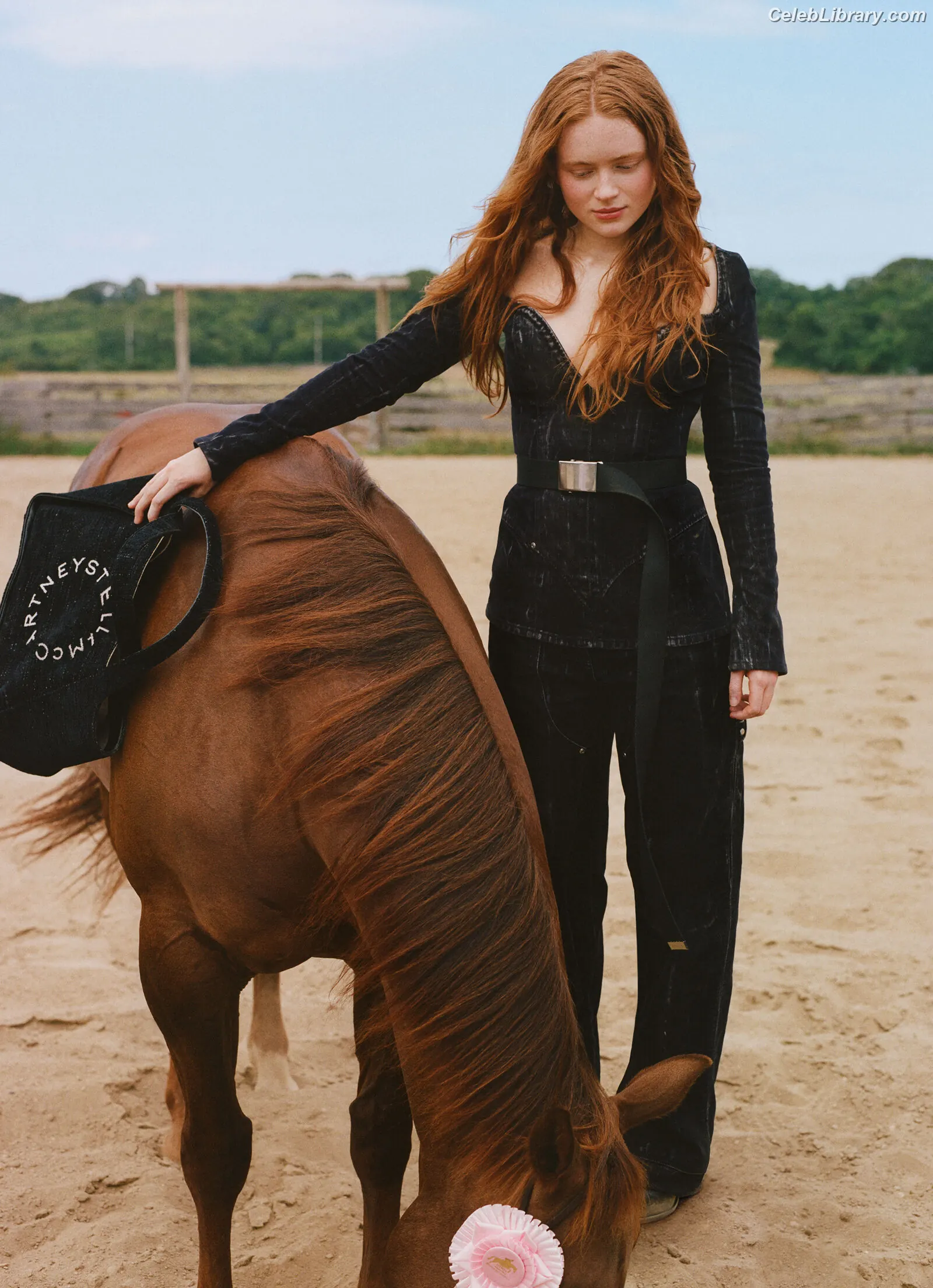 Sadie Sink photo 4 of 1906