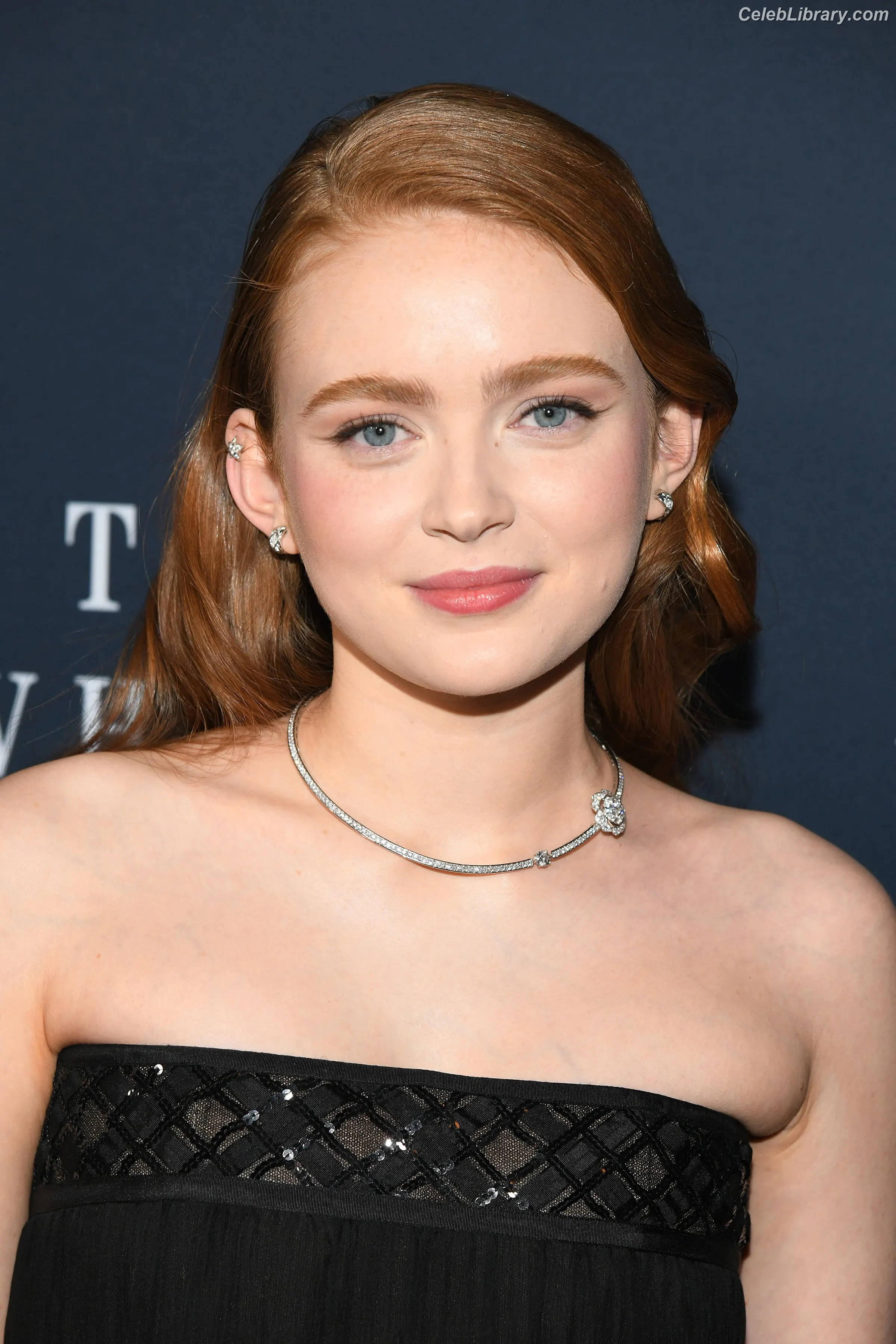 Sadie Sink photo 12 of 1906