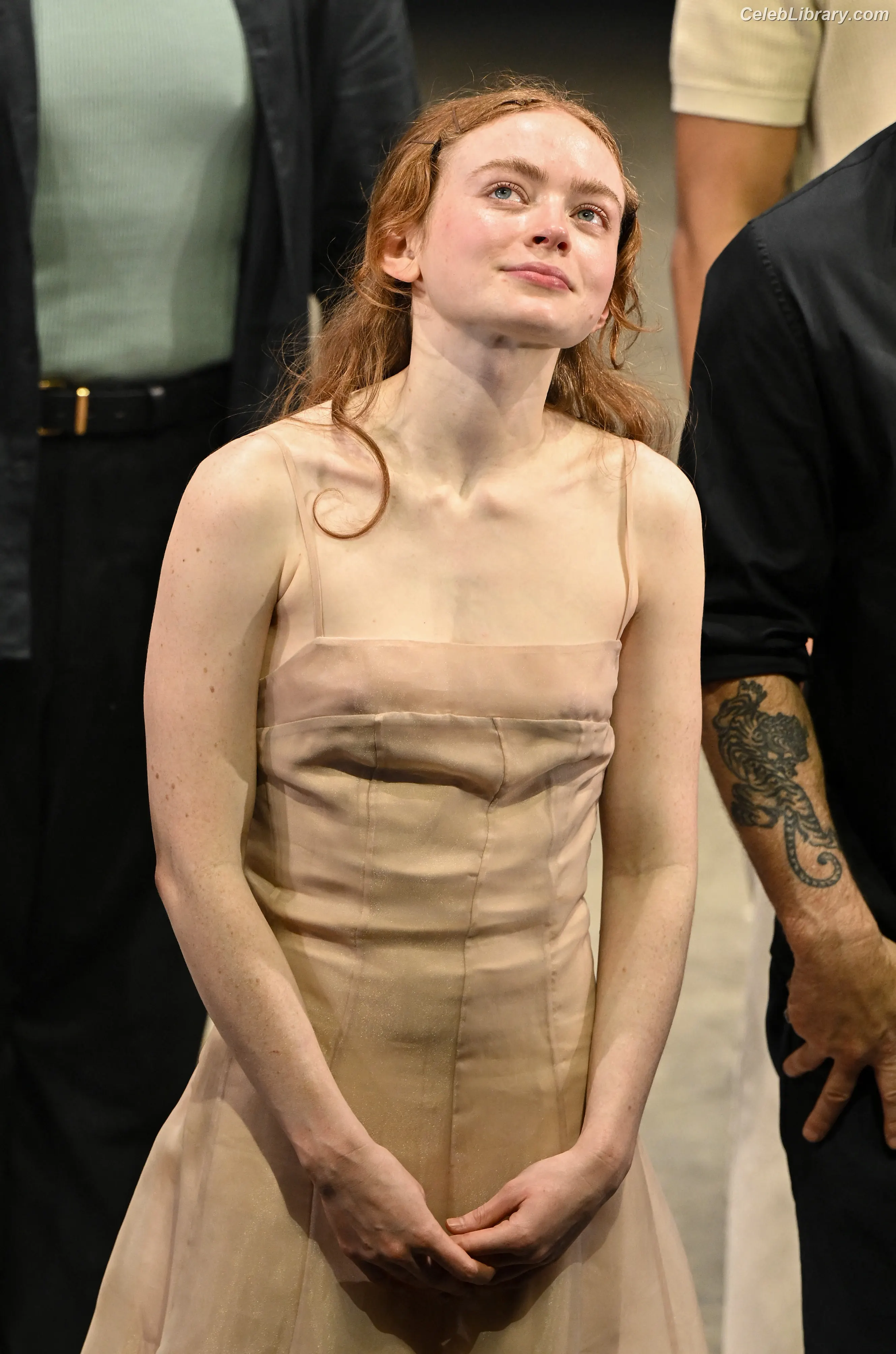 Sadie Sink photo 16 of 1906