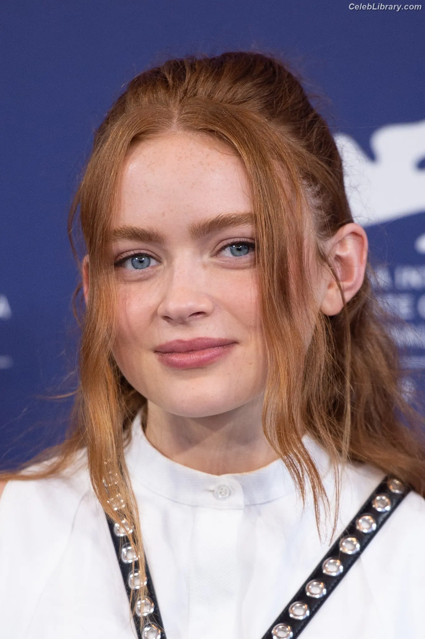 Sadie Sink photo 15 of 1906