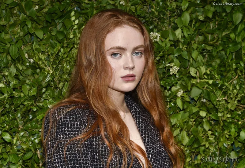 Sadie Sink photo 18 of 1907