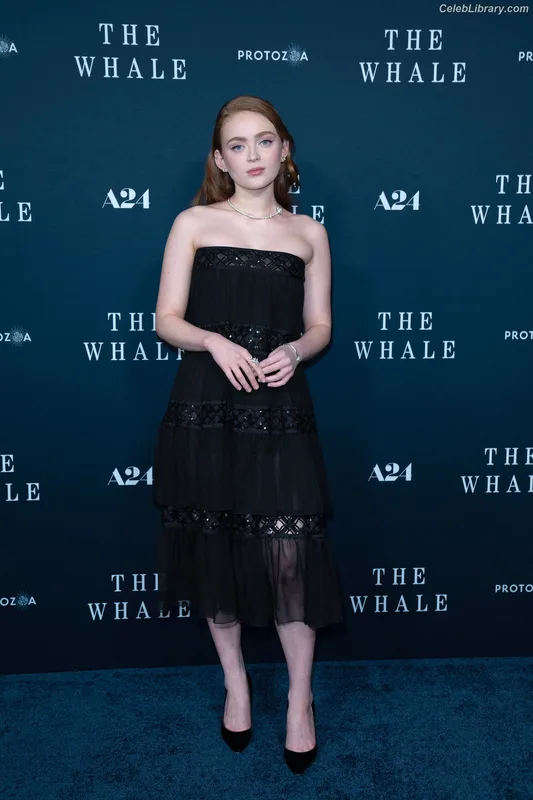 Sadie Sink photo 1 of 1907