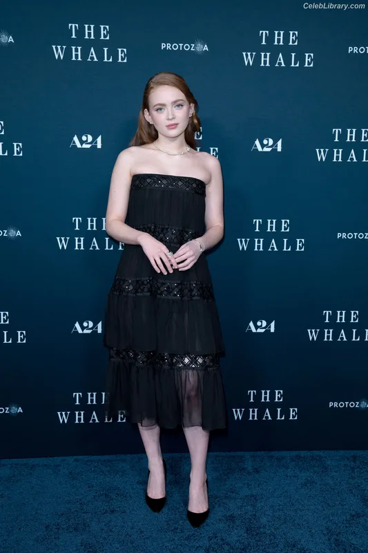 Sadie Sink photo 3 of 1907