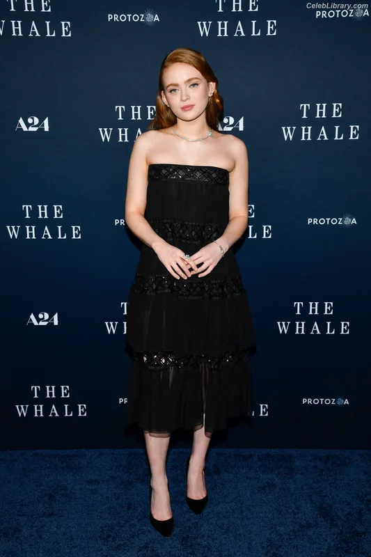 Sadie Sink photo 16 of 1907