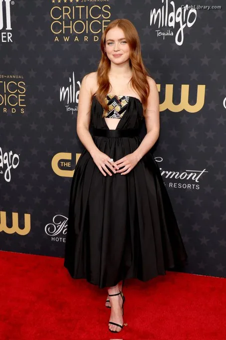 Sadie Sink photo 18 of 1907