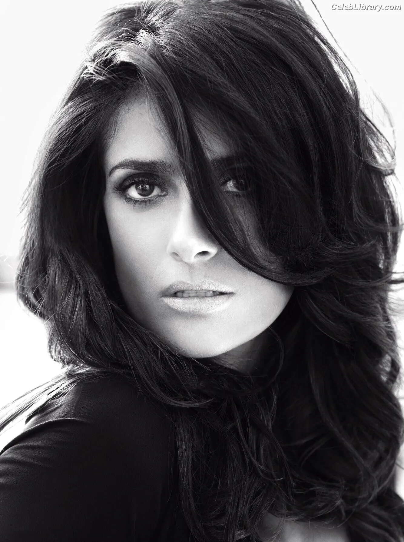 Salma Hayek photo 5 of 3054