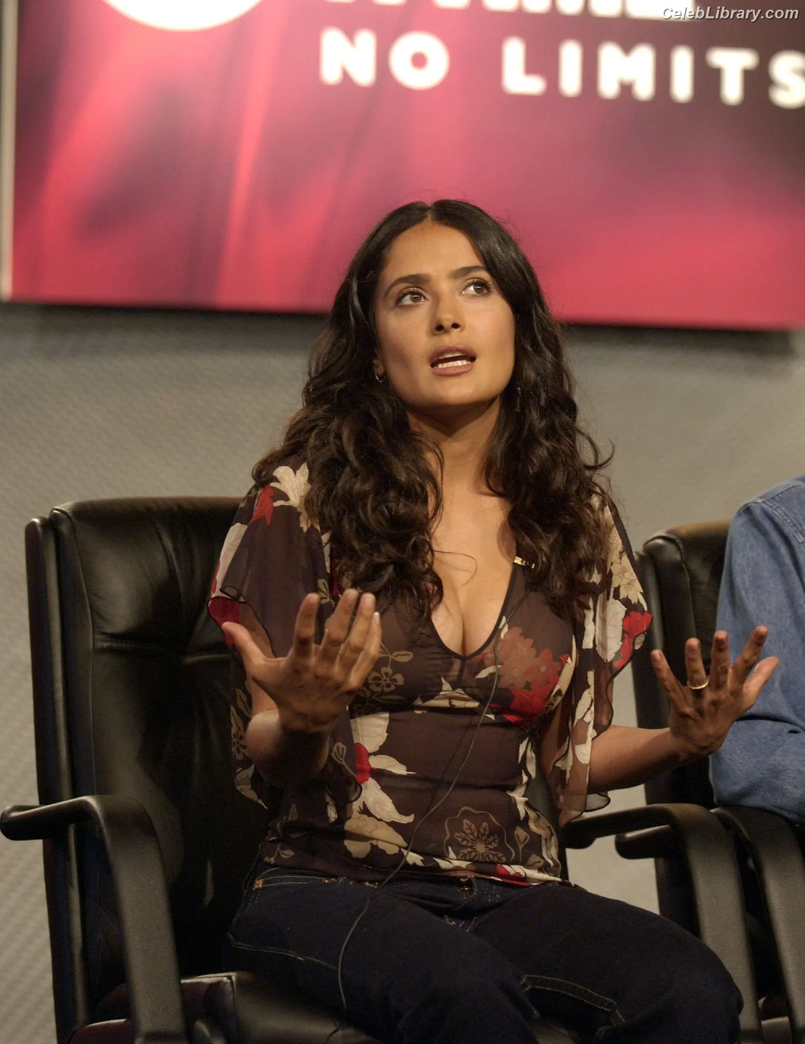 Salma Hayek photo 10 of 3054