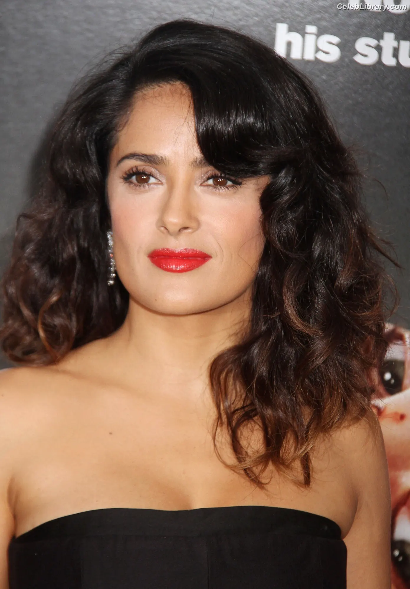 Salma Hayek photo 16 of 3054
