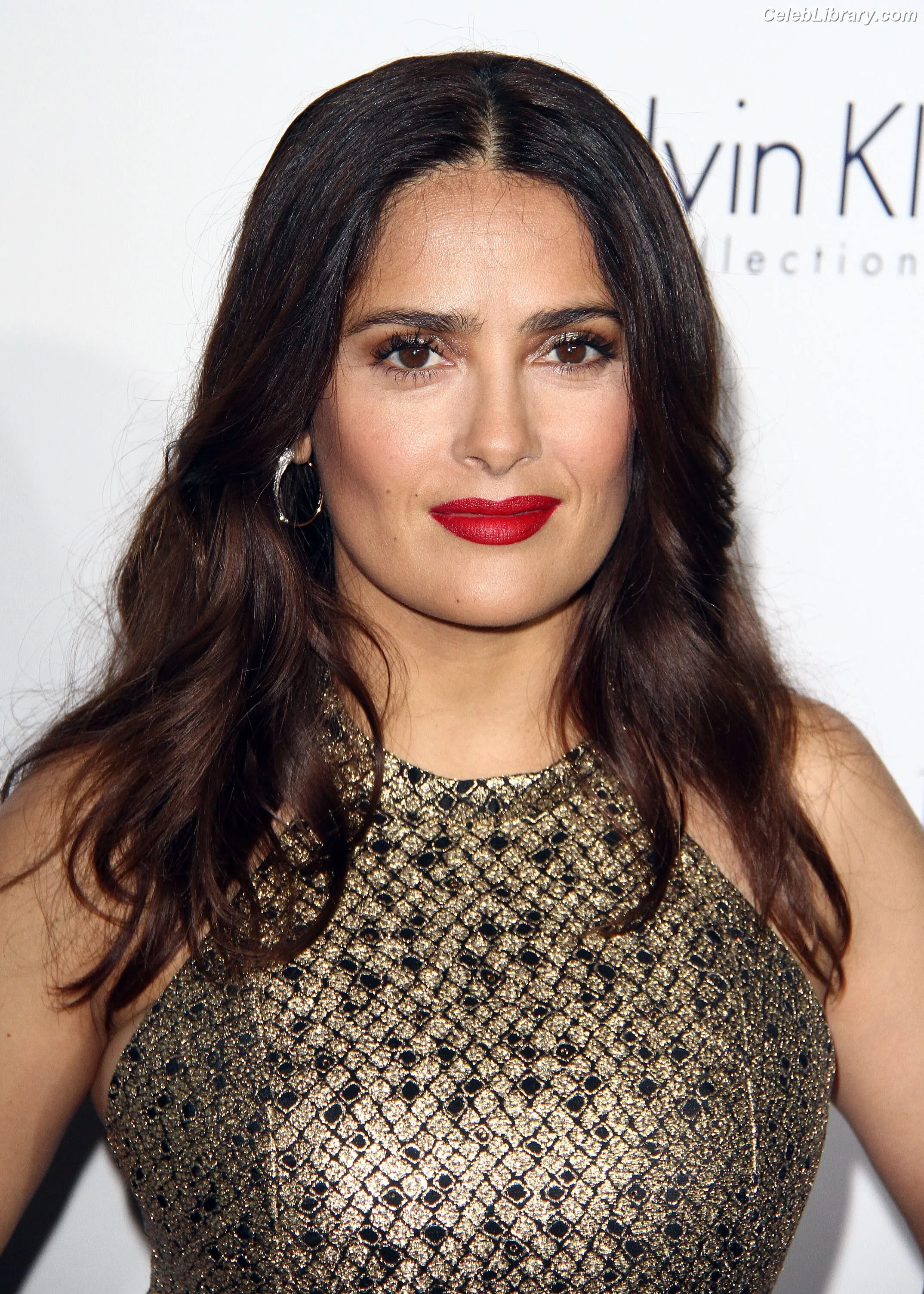 Salma Hayek photo 20 of 3054