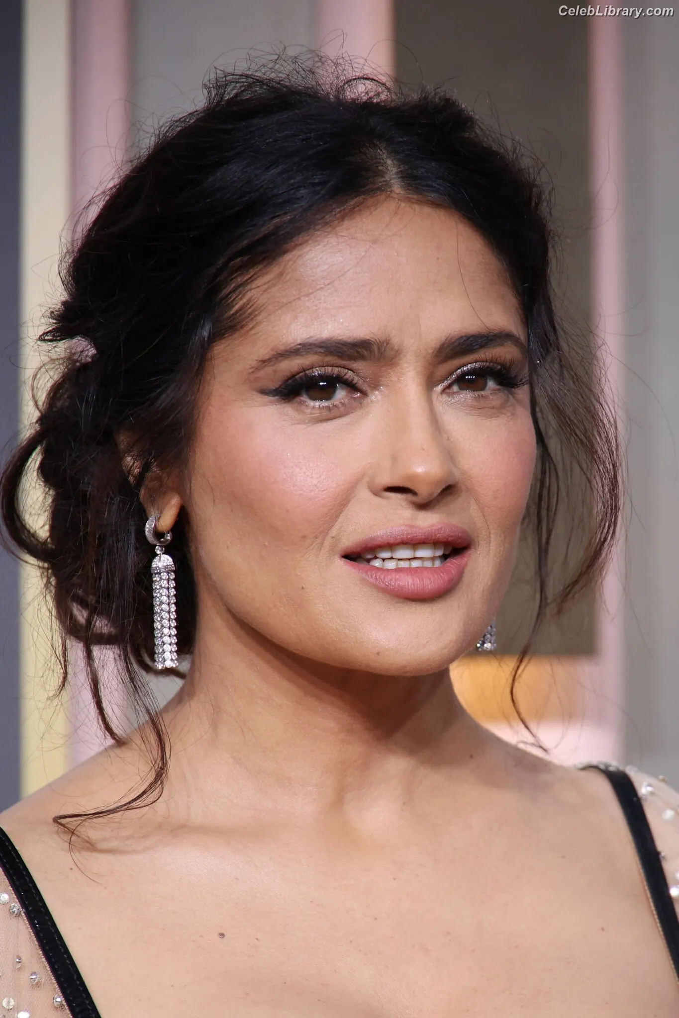 Salma Hayek photo 9 of 3054